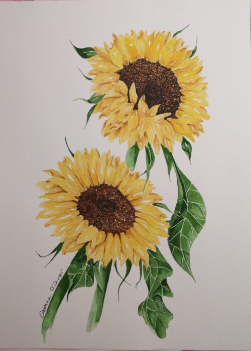Sunflowers Watercolour Irish Artist Co Louth