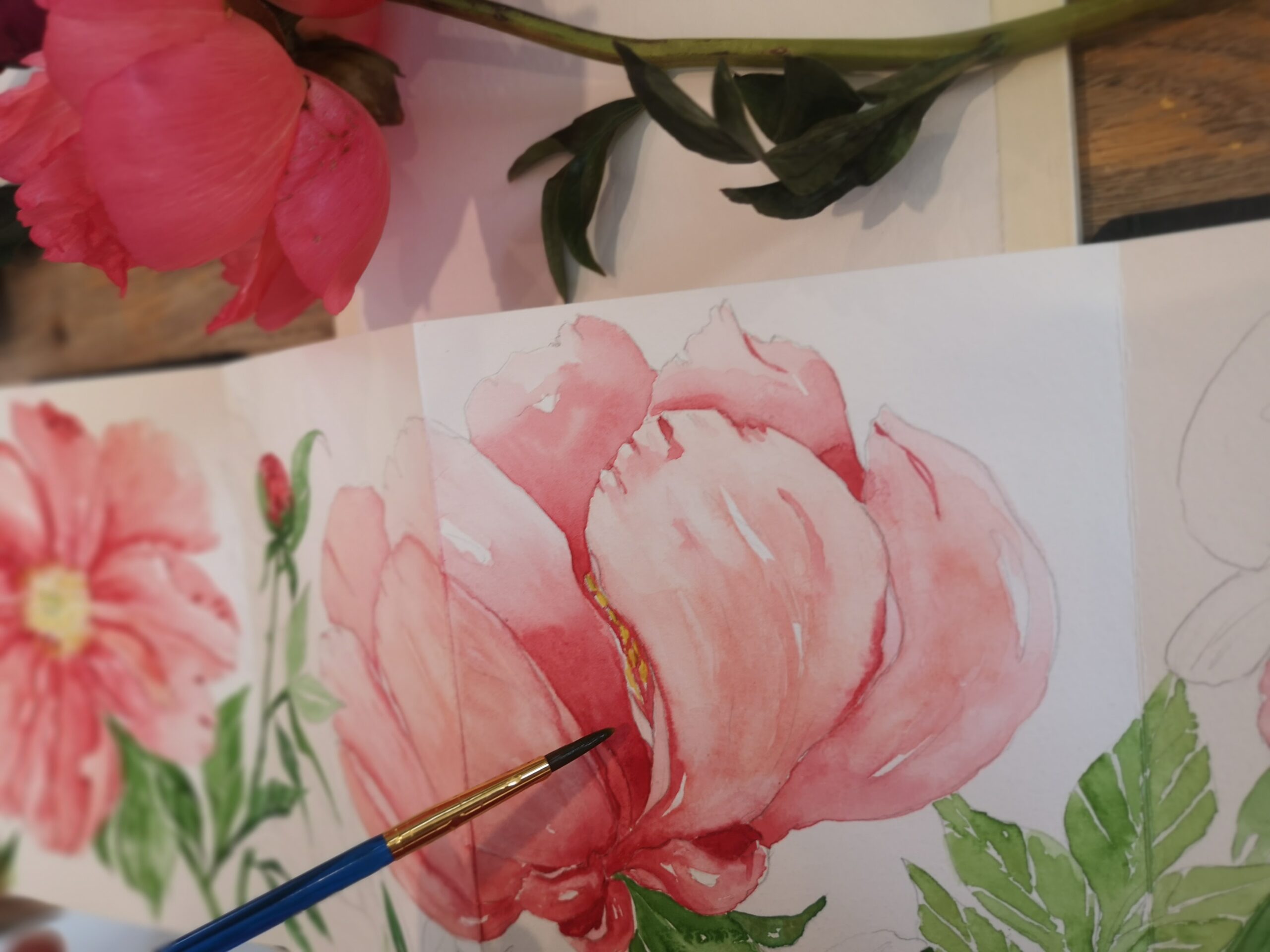 Watercolou Painting ‘Peonies in Bloom’ies Irish artist Caoimhe O'Dwyer